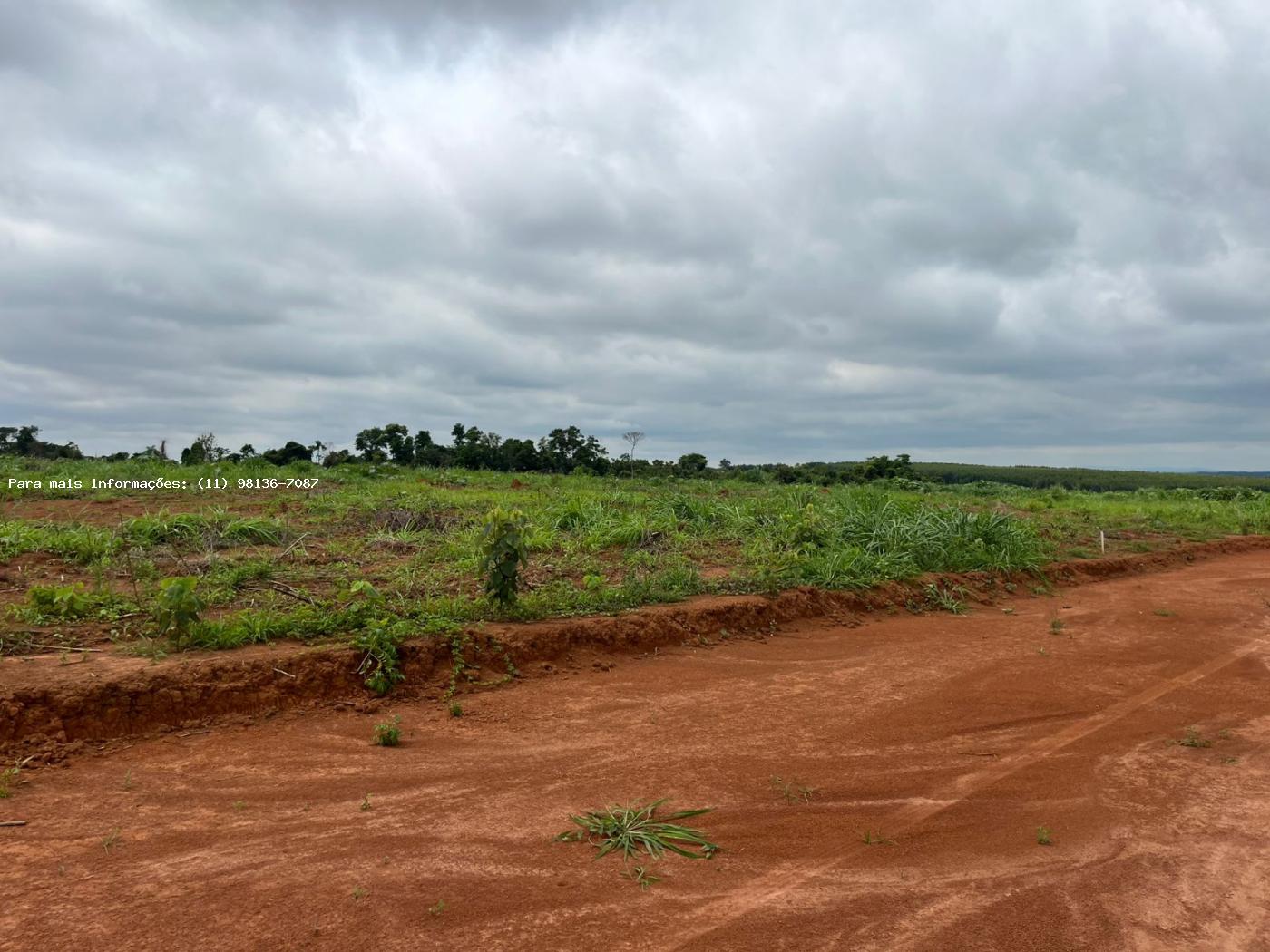 Terreno à venda - Foto 1